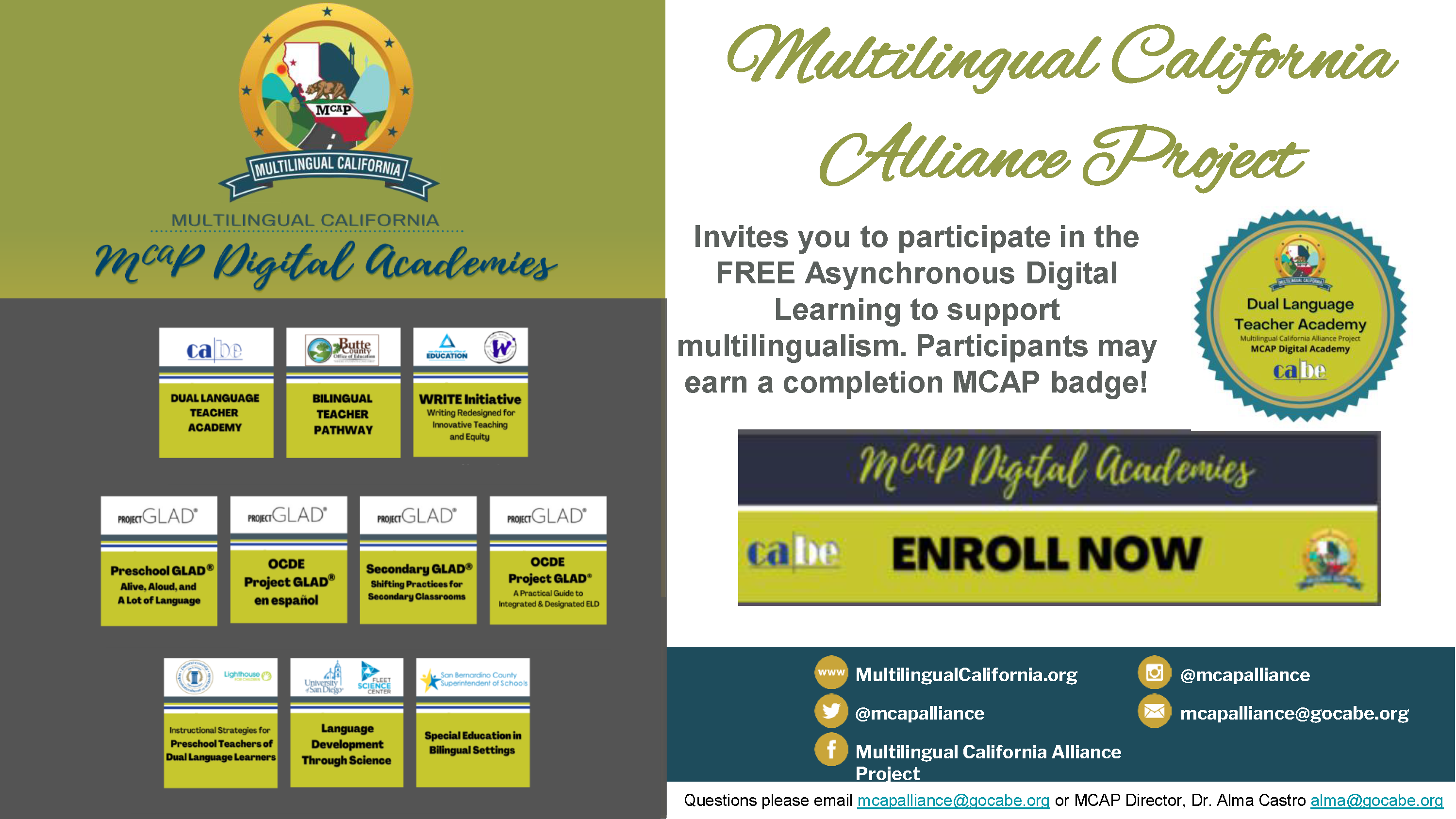 LX Copy of MCAP Digital Academies_13